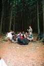 Kliknut�m lze prohl�et 