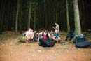 Kliknut�m lze prohl�et 