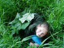 Kliknut�m lze prohl�et 