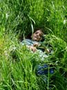 Kliknut�m lze prohl�et 