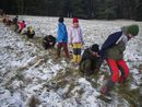 Kliknut�m lze prohl�et 