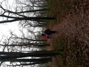 Kliknut�m lze prohl�et 